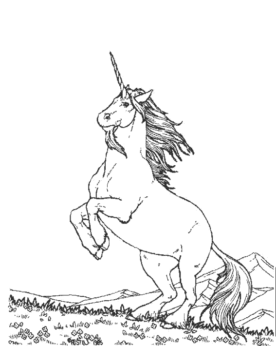 coloriage licorne cabre